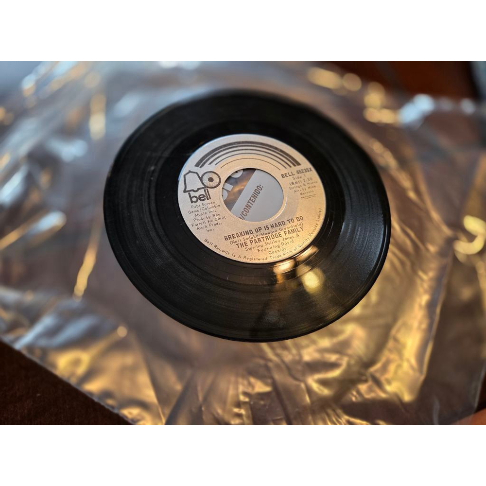 The Partridge Family Vinyl Record NO CASE 45